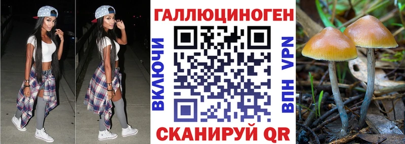 Купить  Артёмовск  Галлюциногенные грибы мицелий 
